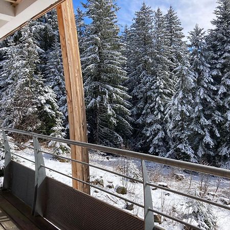 Studio Chamrousse 1700 Pour 4 Personnes - Au Calme - Avec Wifi Zewnętrze zdjęcie